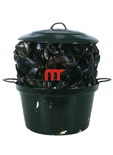 Busy going crazy collection sylvio perlstein